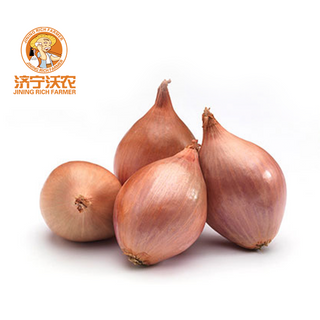 الكراث الطازج